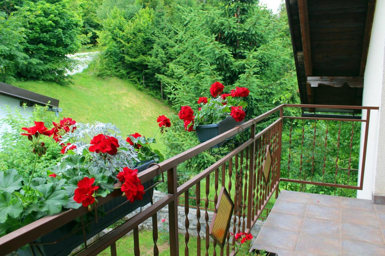 Villa Kuca Za Odmor Cicki Vrh Brestova Draga Exterior foto